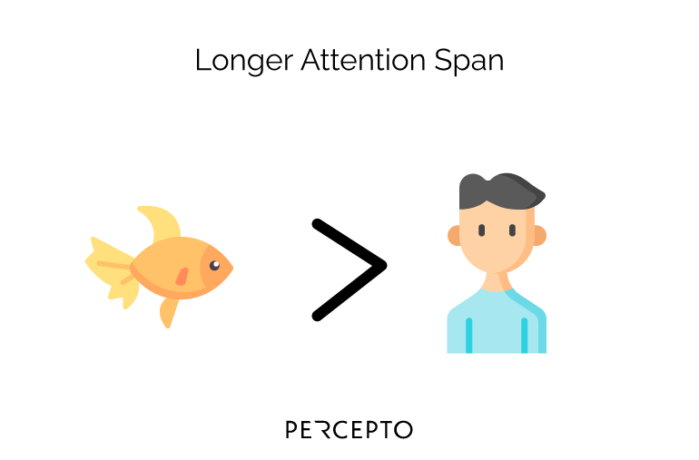 You Now Have a Shorter Attention Span Than a Goldfish